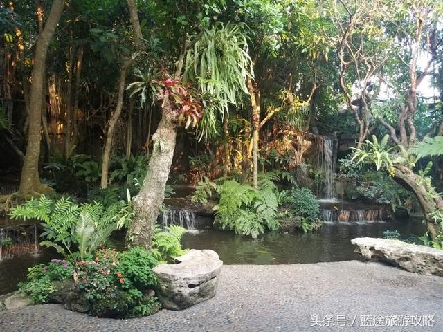 抖音黑森林,抖音凤吟照片-第12张图片-翡翠网 抖音黑森林,抖音凤吟照片-第12张图片-翡翠网