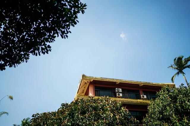 我的翡翠原石之旅十二章,超巨型翡翠原石小说-第19张图片-翡翠网 我的翡翠原石之旅十二章,超巨型翡翠原石小说-第19张图片-翡翠网