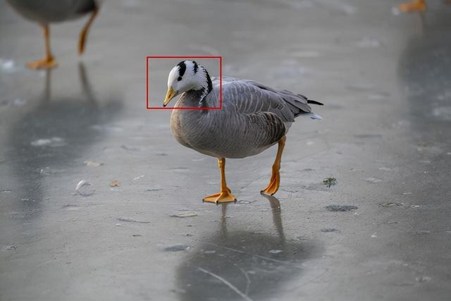 f2d2富二代最新版appf2抖音短视频app富二代污-第10张图片-翡翠网 f2d2富二代最新版appf2抖音短视频app富二代污-第10张图片-翡翠网