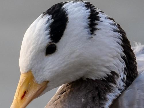 f2d2富二代最新版appf2抖音短视频app富二代污-第11张图片-翡翠网 f2d2富二代最新版appf2抖音短视频app富二代污-第11张图片-翡翠网