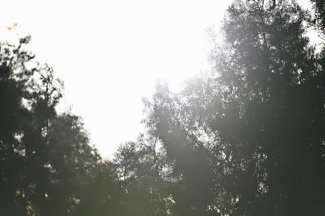 f2d2富二代最新版appf2抖音短视频app富二代污-第12张图片-翡翠网 f2d2富二代最新版appf2抖音短视频app富二代污-第12张图片-翡翠网