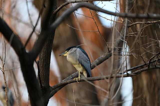 f2d2富二代最新版appf2抖音短视频app富二代污-第13张图片-翡翠网 f2d2富二代最新版appf2抖音短视频app富二代污-第13张图片-翡翠网