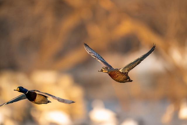 f2d2富二代最新版appf2抖音短视频app富二代污-第17张图片-翡翠网 f2d2富二代最新版appf2抖音短视频app富二代污-第17张图片-翡翠网