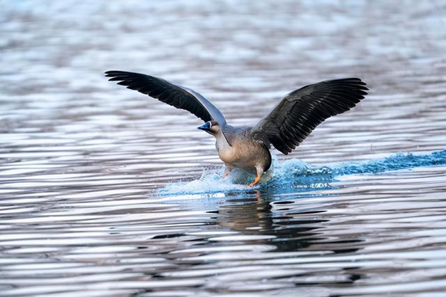 f2d2富二代最新版appf2抖音短视频app富二代污-第18张图片-翡翠网 f2d2富二代最新版appf2抖音短视频app富二代污-第18张图片-翡翠网