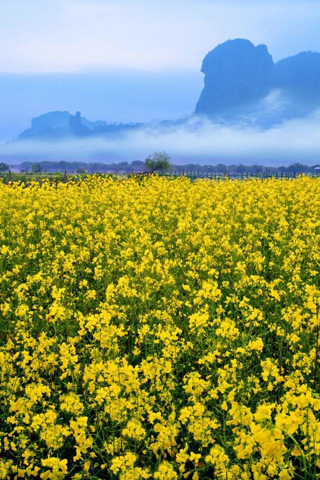 西城区缅甸翡翠原石一手货源翡翠原石价格-第3张图片-翡翠网 西城区缅甸翡翠原石一手货源翡翠原石价格-第3张图片-翡翠网