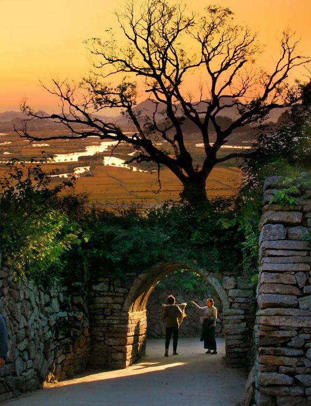 西城区缅甸翡翠原石一手货源翡翠原石价格-第7张图片-翡翠网 西城区缅甸翡翠原石一手货源翡翠原石价格-第7张图片-翡翠网