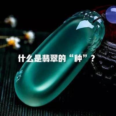翡翠的种水色怎么辨别翡翠文化翡翠知识什么是种水色-第1张图片-翡翠网 翡翠的种水色怎么辨别翡翠文化翡翠知识什么是种水色-第1张图片-翡翠网