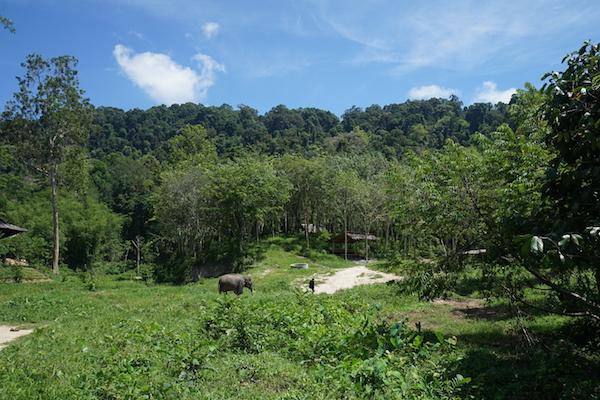 高明对川那村企街女高明翡翠湾水疗价格-第3张图片-翡翠网 高明对川那村企街女高明翡翠湾水疗价格-第3张图片-翡翠网