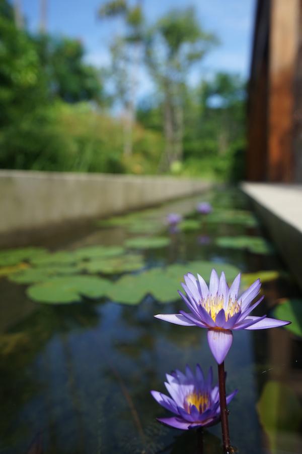 高明对川那村企街女高明翡翠湾水疗价格-第6张图片-翡翠网 高明对川那村企街女高明翡翠湾水疗价格-第6张图片-翡翠网