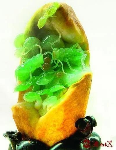 翡翠的种类和级别,褐翅翡翠百科知识-第4张图片-翡翠网 翡翠的种类和级别,褐翅翡翠百科知识-第4张图片-翡翠网