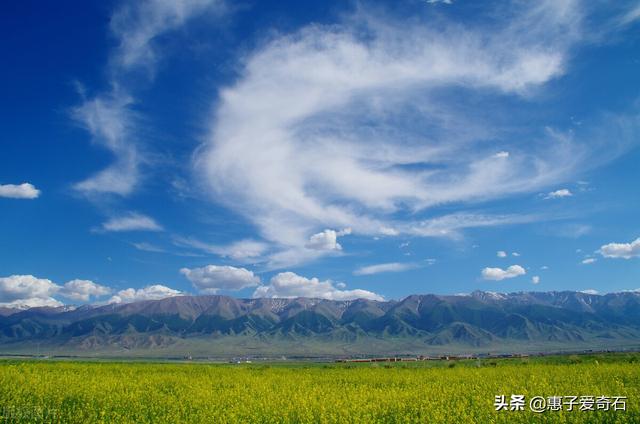 包含翡翠狗头价格的词条-第1张图片-翡翠网 包含翡翠狗头价格的词条-第1张图片-翡翠网