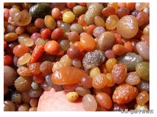 包含翡翠狗头价格的词条-第11张图片-翡翠网 包含翡翠狗头价格的词条-第11张图片-翡翠网