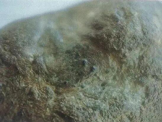 翡翠成品原石的讲解知识,翡翠原石叫什么-第3张图片-翡翠网 翡翠成品原石的讲解知识,翡翠原石叫什么-第3张图片-翡翠网