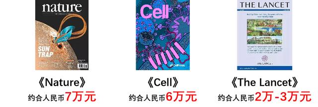 滕翡翠知识付费国外对知识付费的认识-第7张图片-翡翠网 滕翡翠知识付费国外对知识付费的认识-第7张图片-翡翠网