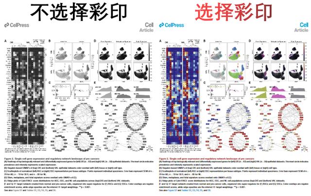 滕翡翠知识付费国外对知识付费的认识-第11张图片-翡翠网 滕翡翠知识付费国外对知识付费的认识-第11张图片-翡翠网