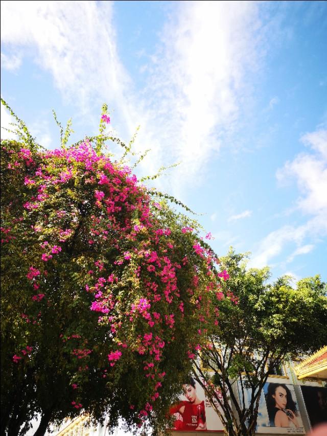 木姐翡翠原石图片的简单介绍-第10张图片-翡翠网 木姐翡翠原石图片的简单介绍-第10张图片-翡翠网