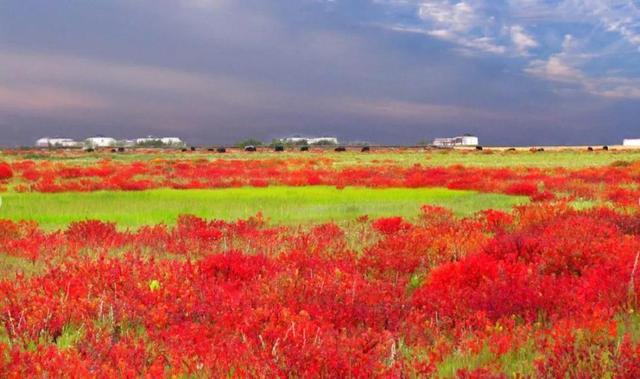 独克宗古城到松赞林寺,独克宗的翡翠价格-第8张图片-翡翠网 独克宗古城到松赞林寺,独克宗的翡翠价格-第8张图片-翡翠网