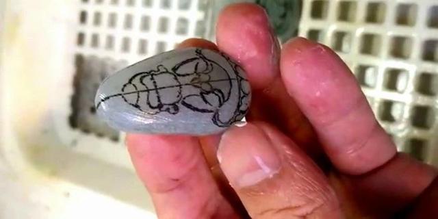 糯冰翡翠原石切开图片,翡翠原石冰糯图片-第6张图片-翡翠网 糯冰翡翠原石切开图片,翡翠原石冰糯图片-第6张图片-翡翠网