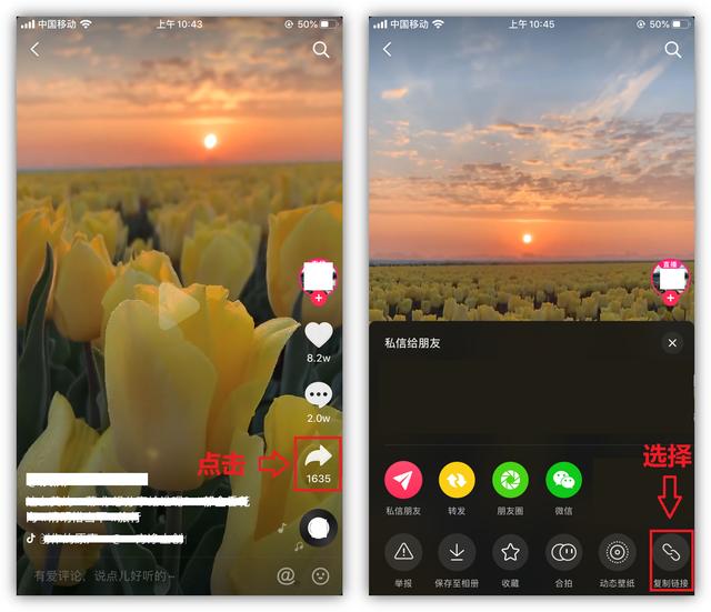 抖音视频怎么去掉抖音的水印,免费去水印的软件-第3张图片-翡翠网 抖音视频怎么去掉抖音的水印,免费去水印的软件-第3张图片-翡翠网
