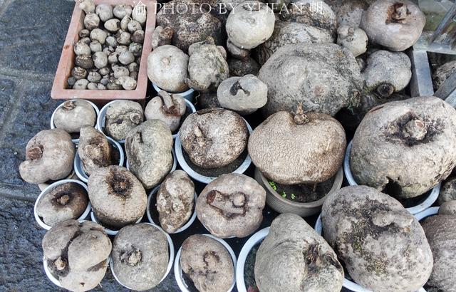 大理最便宜的翡翠手镯的简单介绍-第9张图片-翡翠网 大理最便宜的翡翠手镯的简单介绍-第9张图片-翡翠网