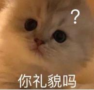 拿来把你是什么梗抖音拿来吧你是什么梗-第11张图片-翡翠网 拿来把你是什么梗抖音拿来吧你是什么梗-第11张图片-翡翠网