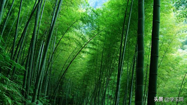 瘦翡翠知识图解翡翠种类和图解-第1张图片-翡翠网 瘦翡翠知识图解翡翠种类和图解-第1张图片-翡翠网