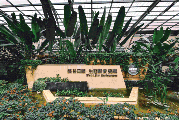 玉石翡翠原石,凯里翡翠的原石-第14张图片-翡翠网 玉石翡翠原石,凯里翡翠的原石-第14张图片-翡翠网