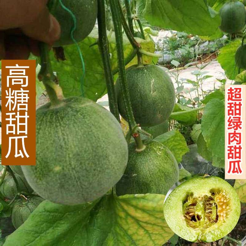 翡翠冰糖种什么意思,冰翡翠甜瓜价格-第1张图片-翡翠网 翡翠冰糖种什么意思,冰翡翠甜瓜价格-第1张图片-翡翠网