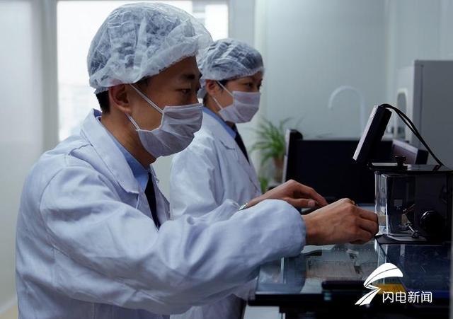 亲权鉴定技术规范2018亲权鉴定翡翠知识-第4张图片-翡翠网 亲权鉴定技术规范2018亲权鉴定翡翠知识-第4张图片-翡翠网