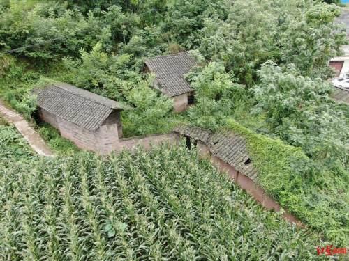 包含安庆翡翠原石的词条-第13张图片-翡翠网 包含安庆翡翠原石的词条-第13张图片-翡翠网