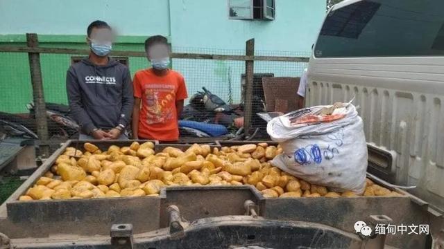 翡翠原石最近有什么事件,玉石翡翠原石-第10张图片-翡翠网 翡翠原石最近有什么事件,玉石翡翠原石-第10张图片-翡翠网