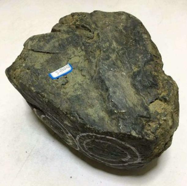 盲赌翡翠原石帝王绿翡翠原石图片-第2张图片-翡翠网 盲赌翡翠原石帝王绿翡翠原石图片-第2张图片-翡翠网