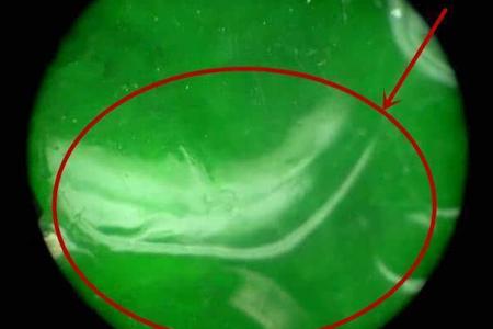 翡翠镯子怎么鉴别真假,假翡翠和真翡翠的区别视频-第5张图片-翡翠网 翡翠镯子怎么鉴别真假,假翡翠和真翡翠的区别视频-第5张图片-翡翠网