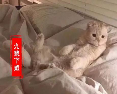 歌曲大全免费听抖音最火100首歌曲-第10张图片-翡翠网 歌曲大全免费听抖音最火100首歌曲-第10张图片-翡翠网