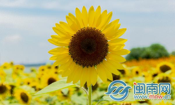 毕业的句子简单到哭的抖音最火毕业话语-第1张图片-翡翠网 毕业的句子简单到哭的抖音最火毕业话语-第1张图片-翡翠网