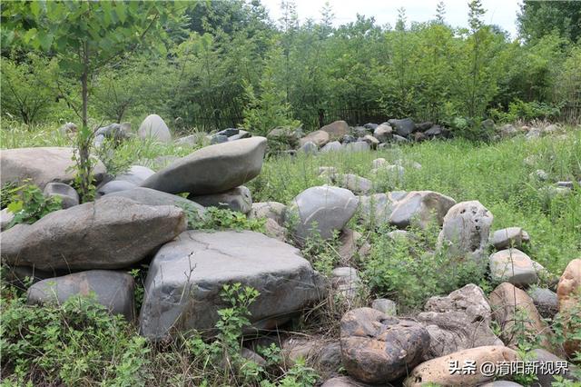 河里透明鹅卵石是玉吗,河里翡翠原石吗-第1张图片-翡翠网 河里透明鹅卵石是玉吗,河里翡翠原石吗-第1张图片-翡翠网