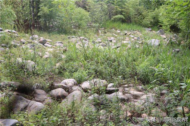 河里透明鹅卵石是玉吗,河里翡翠原石吗-第30张图片-翡翠网 河里透明鹅卵石是玉吗,河里翡翠原石吗-第30张图片-翡翠网