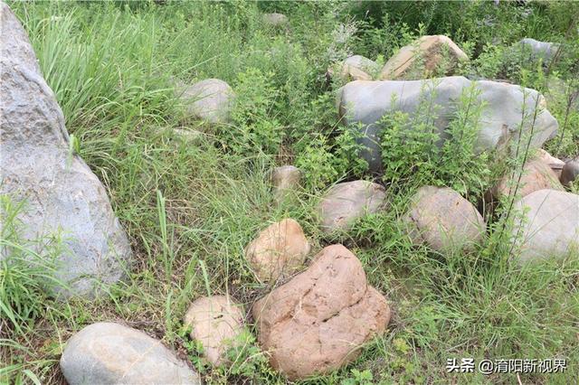 河里透明鹅卵石是玉吗,河里翡翠原石吗-第31张图片-翡翠网 河里透明鹅卵石是玉吗,河里翡翠原石吗-第31张图片-翡翠网