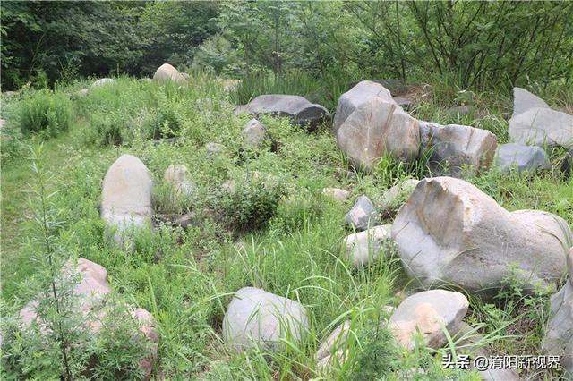 河里透明鹅卵石是玉吗,河里翡翠原石吗-第33张图片-翡翠网 河里透明鹅卵石是玉吗,河里翡翠原石吗-第33张图片-翡翠网