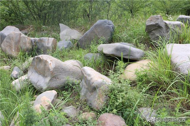 河里透明鹅卵石是玉吗,河里翡翠原石吗-第34张图片-翡翠网 河里透明鹅卵石是玉吗,河里翡翠原石吗-第34张图片-翡翠网