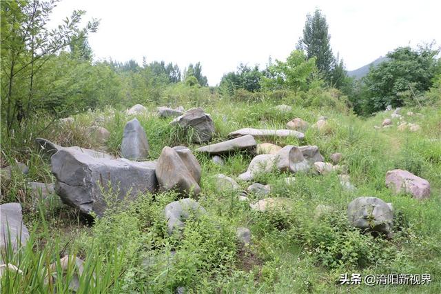 河里透明鹅卵石是玉吗,河里翡翠原石吗-第35张图片-翡翠网 河里透明鹅卵石是玉吗,河里翡翠原石吗-第35张图片-翡翠网