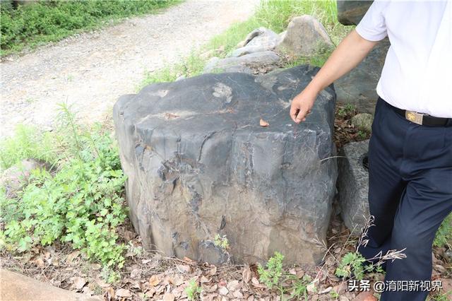 河里透明鹅卵石是玉吗,河里翡翠原石吗-第39张图片-翡翠网 河里透明鹅卵石是玉吗,河里翡翠原石吗-第39张图片-翡翠网