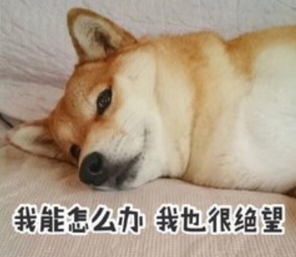 5亿翡翠原石翡翠原石白岩沙-第3张图片-翡翠网 5亿翡翠原石翡翠原石白岩沙-第3张图片-翡翠网