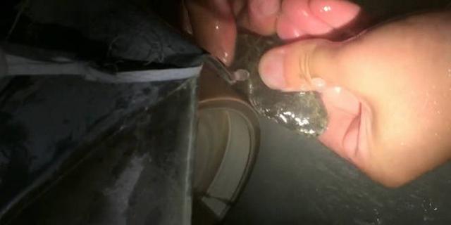 翡翠原石客服,蓝翡翠原石视频-第4张图片-翡翠网 翡翠原石客服,蓝翡翠原石视频-第4张图片-翡翠网