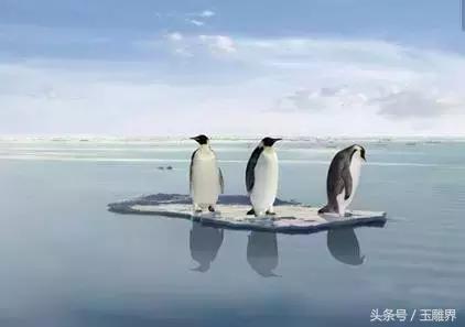 海蓝色翡翠原石,波罗的海蜜蜡原石-第3张图片-翡翠网 海蓝色翡翠原石,波罗的海蜜蜡原石-第3张图片-翡翠网