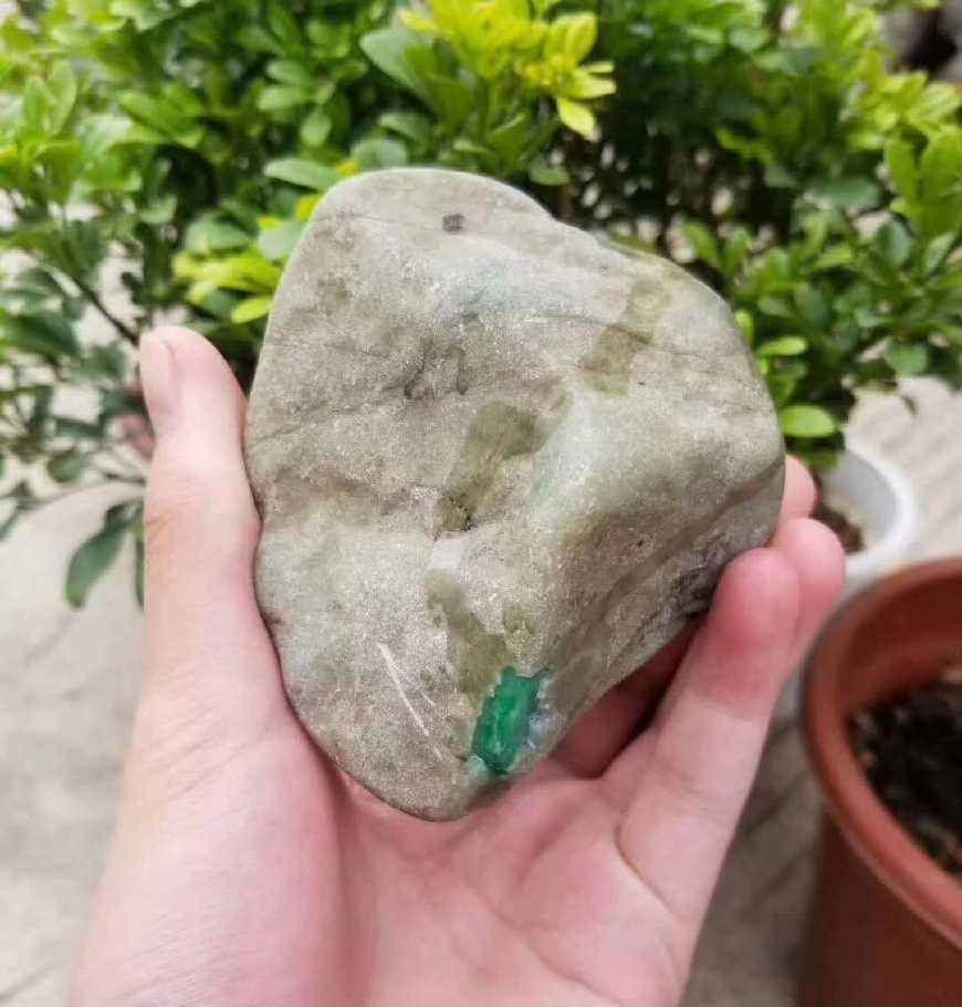 翡翠原石场口大全翡翠原石后江场口知识讲解-第1张图片-翡翠网 翡翠原石场口大全翡翠原石后江场口知识讲解-第1张图片-翡翠网