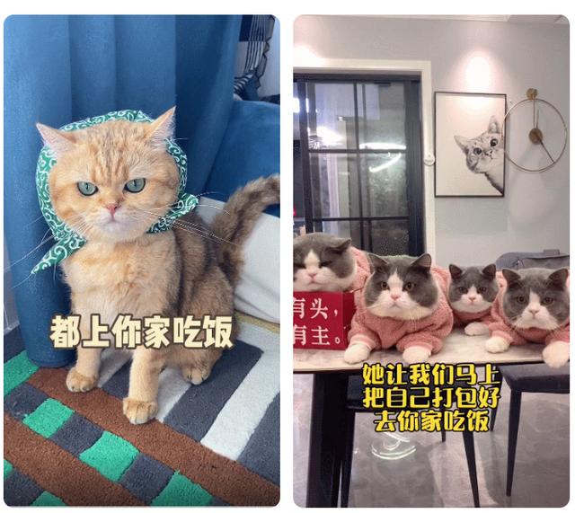 抖音话题,2020最火情感话题-第9张图片-翡翠网 抖音话题,2020最火情感话题-第9张图片-翡翠网