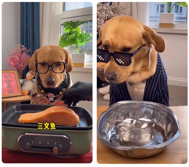 抖音话题,2020最火情感话题-第10张图片-翡翠网 抖音话题,2020最火情感话题-第10张图片-翡翠网