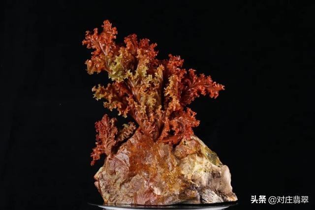 关于年的相关知识,翡翠相关知识的投票-第24张图片-翡翠网 关于年的相关知识,翡翠相关知识的投票-第24张图片-翡翠网