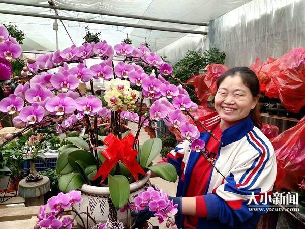 翡翠兰花的寓意,兰花翡翠价格-第1张图片-翡翠网